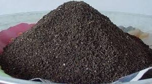 Vermicompost